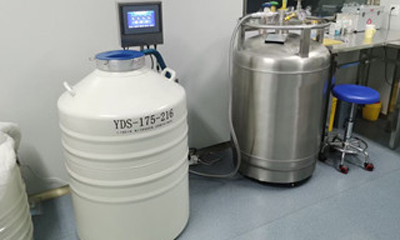 定制小型气相液氮罐